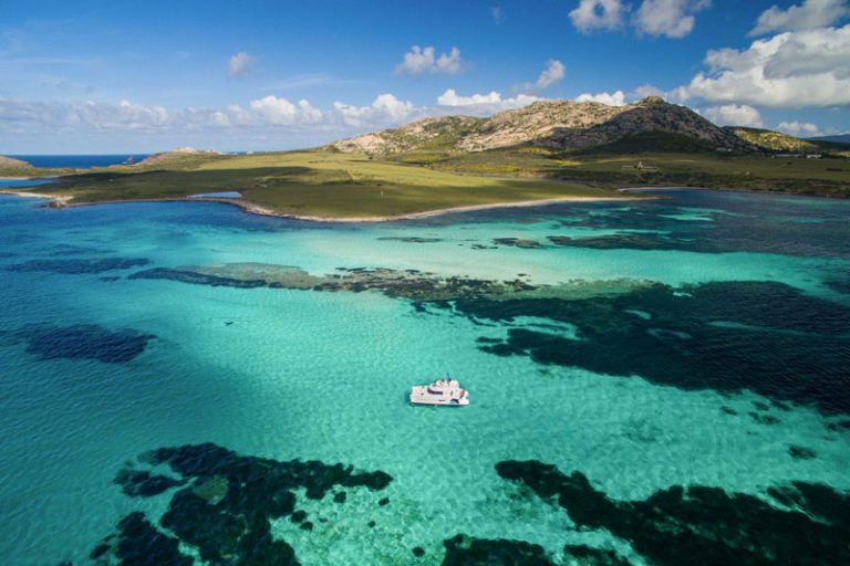 tour asinara catamarano